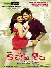 Naa Peru Shiva (2010) HDRip Telugu Full Movie Watch Online Free