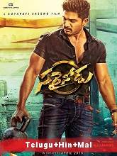 Sarrainodu (2016) HDRip Original [Telugu + Hindi + Malayalam] Full Movie Watch Online Free